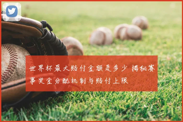 世界杯最大赔付金额是多少 揭秘赛事奖金分配机制与赔付上限