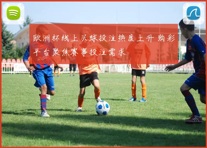 欧洲杯线上买球投注热度上升 购彩平台聚焦赛事投注需求